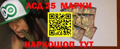 гидропоника Балашиха