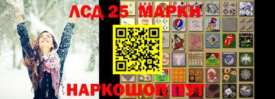 гидропоника Балашиха