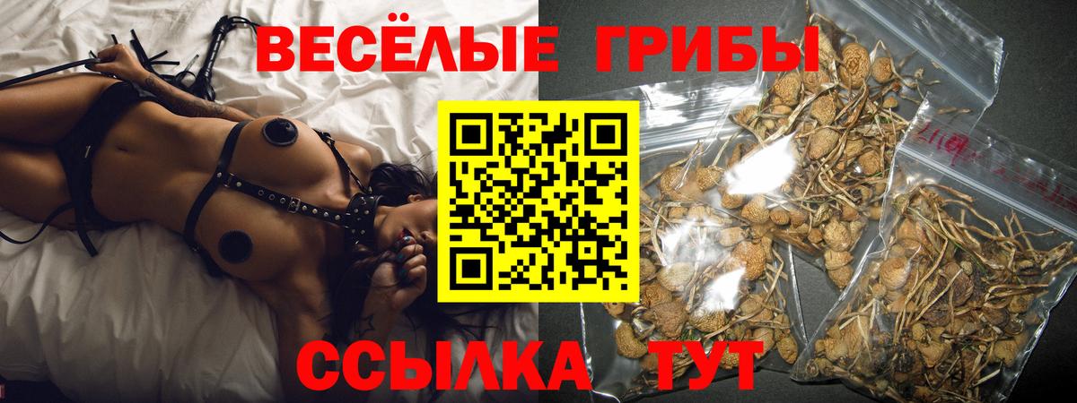 Галлюциногенные грибы Cubensis Воронеж